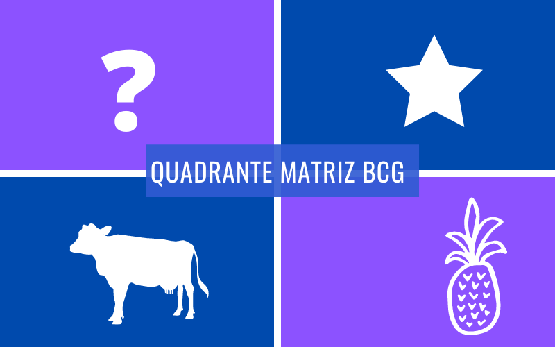 quadrante matriz bcg